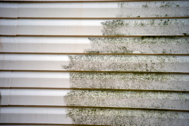 Professional Siding Installation & Repair in Como, WI