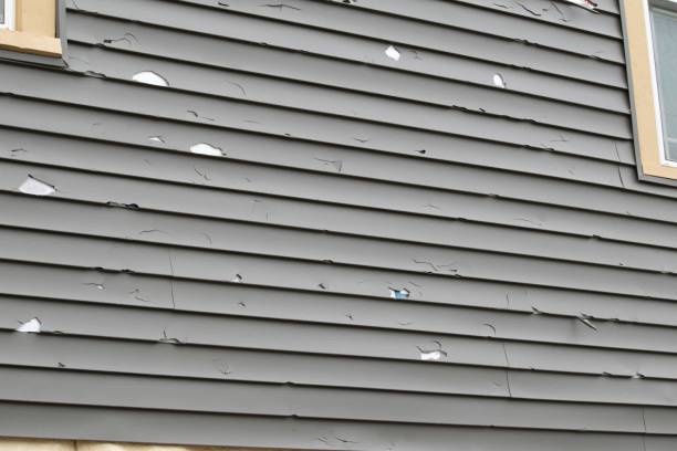 Best Custom Siding Design  in Como, WI